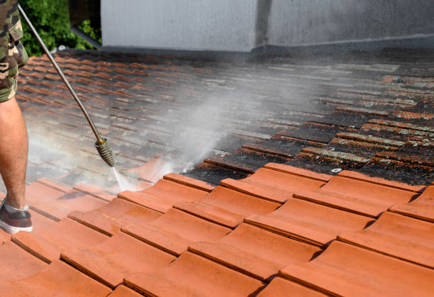 Best Exterior Home Cleaning  in Westport Village, CT